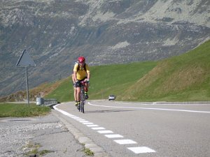 Schweiz 2454